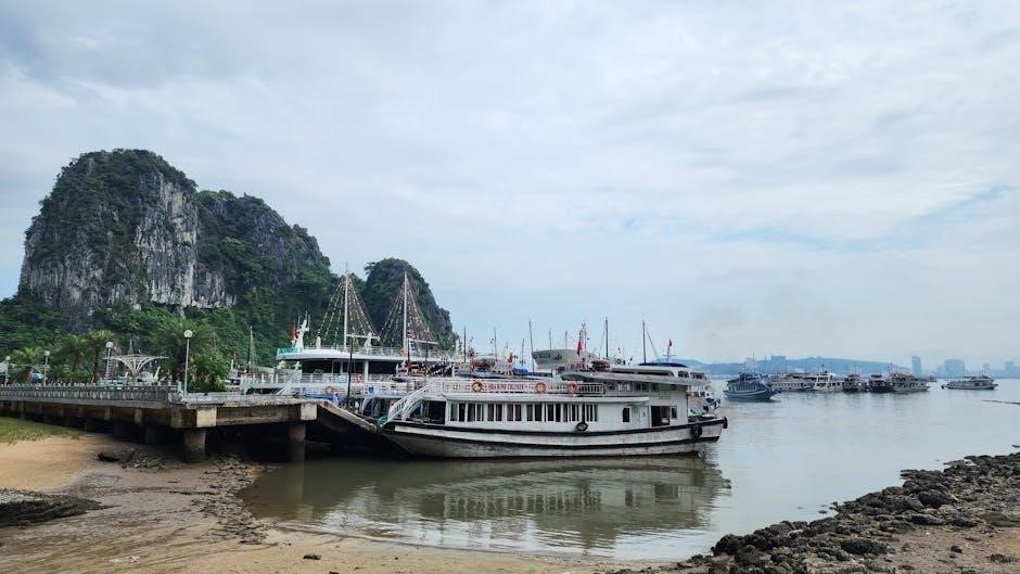 long ships pdf