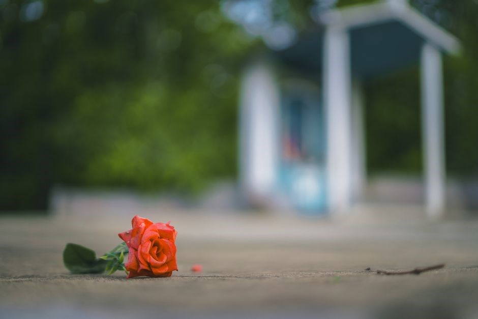 concrete rose pdf